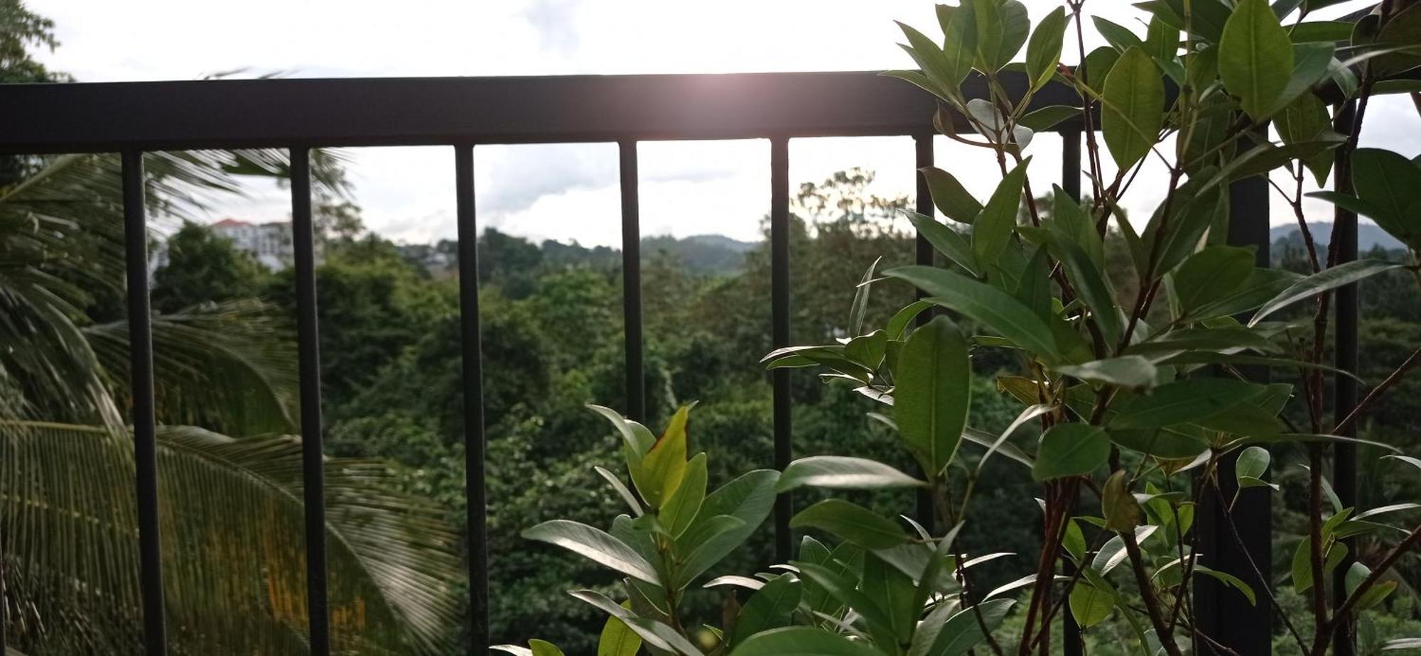 Villa Forest View - No: 50/17 Kandy Esterno foto