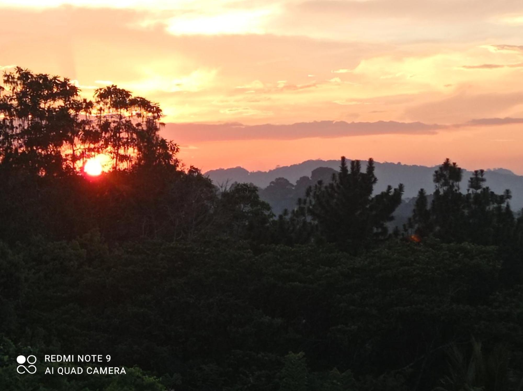 Villa Forest View - No: 50/17 Kandy Esterno foto